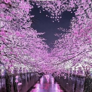 Meet your Posher, Krista